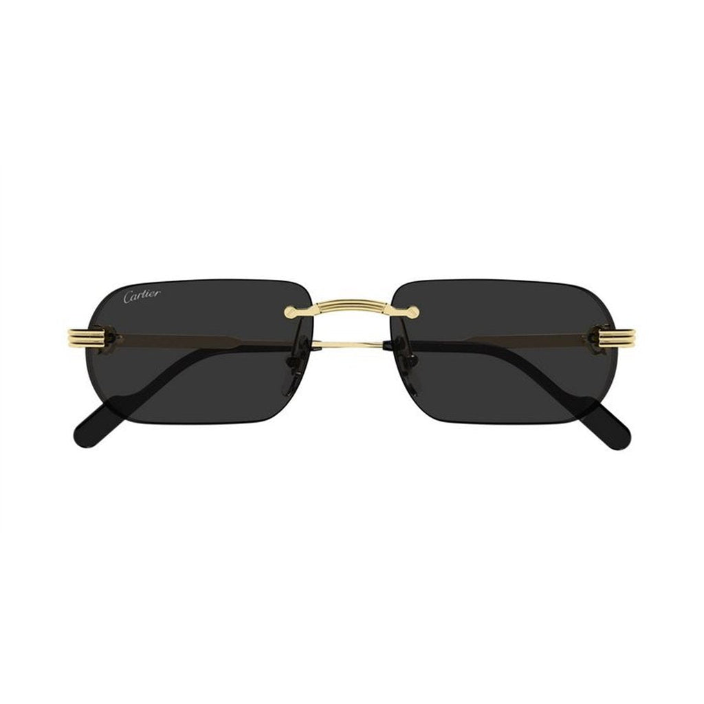 CARTIER Stylish Metal Sunglasses for Men - CT0577S Model