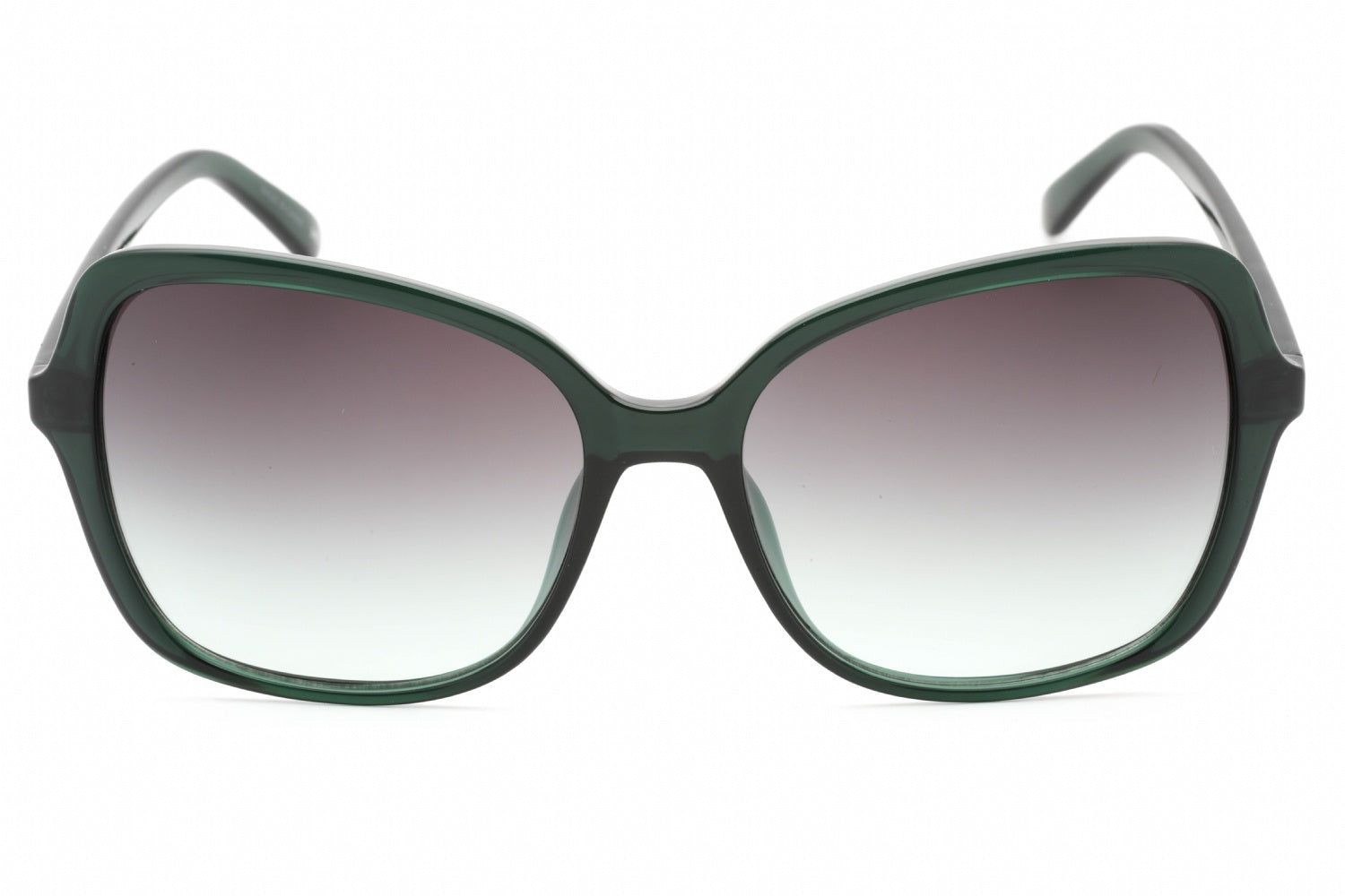CALVIN KLEIN RETAIL CK19561S